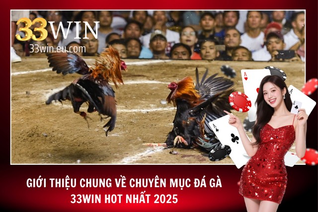 Đá Gà 33WIN - Sảnh Đá Gà Online Ăn Khách Nhất Mọi Thời Đại Giới thiệu về chuyên mục đá gà tại 33WIN hot nhất 2025