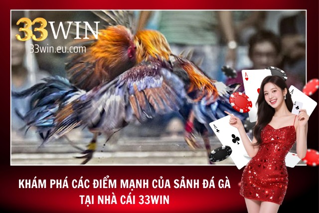 Đá Gà 33WIN - Sảnh Đá Gà Online Ăn Khách Nhất Mọi Thời Đại Khám phá điểm mạnh của sảnh đá gà tại 33WIN