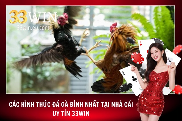 Đá Gà 33WIN - Sảnh Đá Gà Online Ăn Khách Nhất Mọi Thời Đại Các hình thức đá gà tại 33WIN đỉnh nhất hiện nay